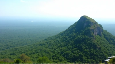 Lush Hillside Panorama Under Clear Blue Sky