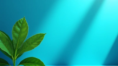 Lush Leaf With Serene Sky Background