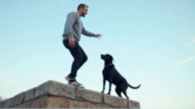 Man Balancing on Elevated Platform with Black Labrador