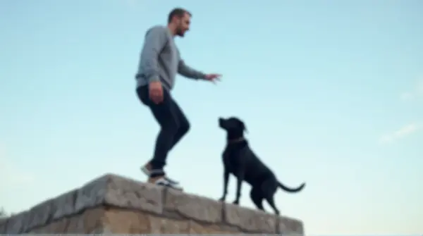 Man in gray sweatshirt and black trousers balances on stone platform beside black Labrador under clear sky