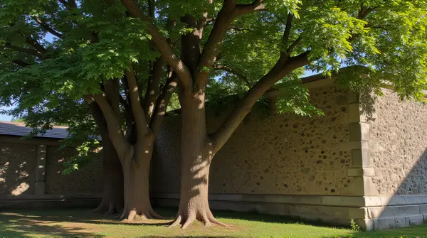 Sunlight filters through mature trees casting shadows on an old stone structure's textured walls.
