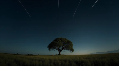 Meteor Shower Over Grassy Landscape With Lone Tree