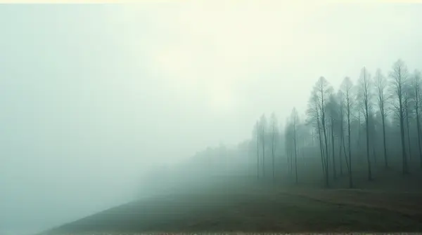 Tall wooden trunks on a gentle slope shrouded in mist under a pale sky with soft white vapor.