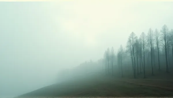 Misty Forest Trunks Under Pale Sky