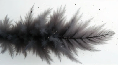 Monochrome Feather With Light Spots On Plain Background