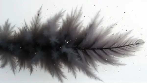 Monochrome Feather With Light Spots On Plain Background