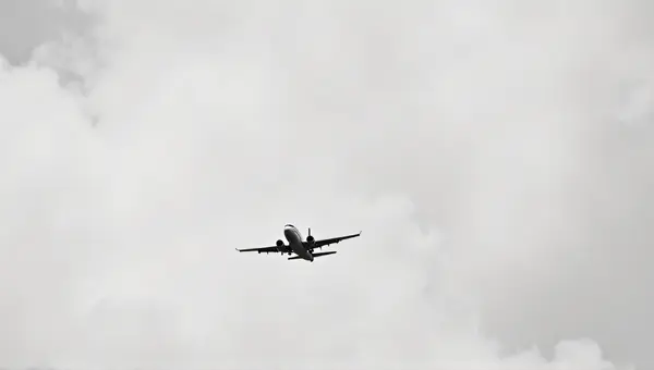 Monochrome Jet Gliding Over Soft Vapor Formations