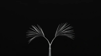 Monochrome Slim Branch Arrangement On Black