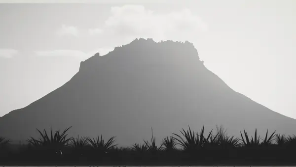 Monochrome Towering Rock Formation With Sparse Plants