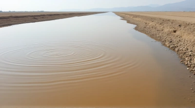 Muddy Puddle With Sky Reflection And Ripples