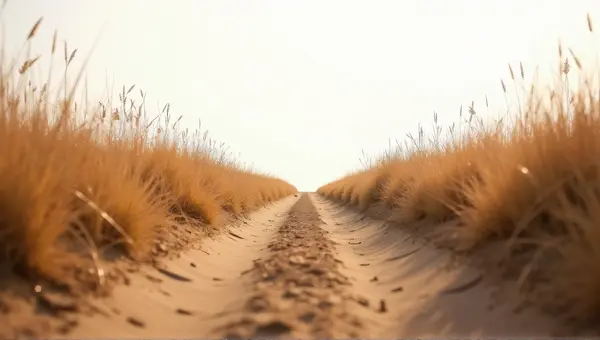 Narrow Earth Pathway With Dry Grasses Under Midday Sky