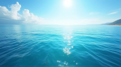 Ocean Surface With Sunlit Waves And Shoreline