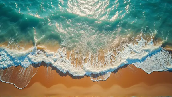 Ocean Water Meeting Textured Wet Earth Top-Down
