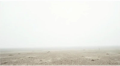 Open Ground Under Overcast White Sky