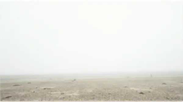 Open Ground Under Overcast White Sky