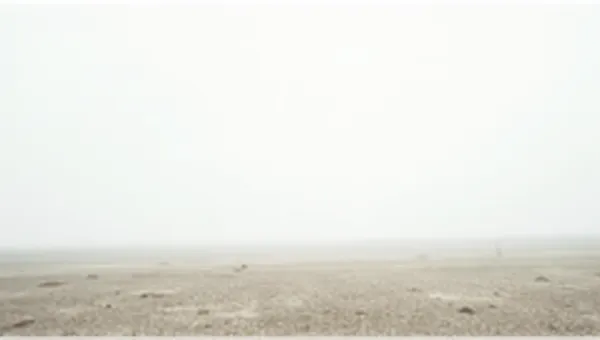 Open Ground Under Overcast White Sky
