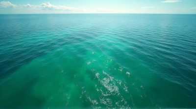 Overhead View Of Expansive Emerald Sea Currents
