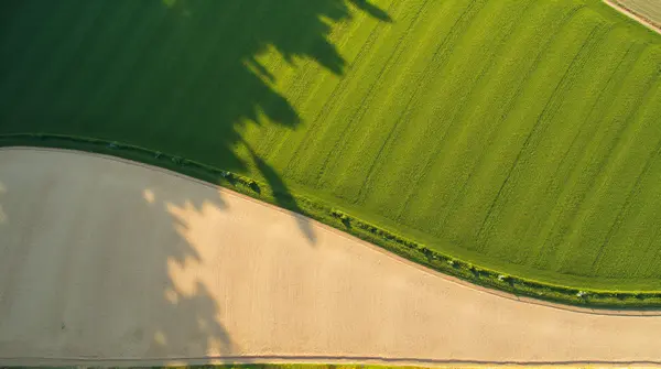 Overhead View Of Green And Beige Land Plots