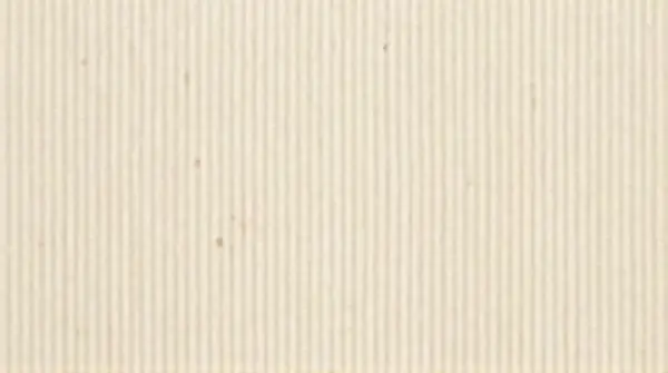 Close-up of pale ash timber panel showing linear grain and subtle knots under soft lighting.