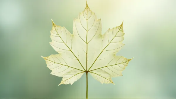 Pale Foliage Detail Pattern Texture
