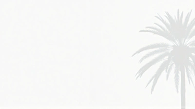 Palm Tree Silhouette On Textured White Surface