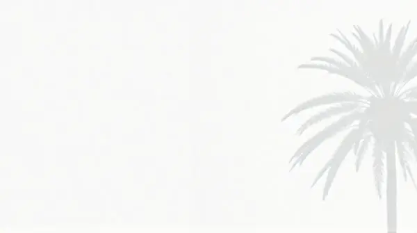 Silhouette of a palm tree over a textured white surface with sharp contours in bright daylight