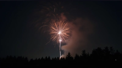 Radiant Sparks Lighting Dark Sky With Silhouetted Trees