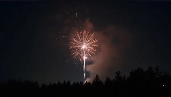 Radiant Sparks Lighting Dark Sky With Silhouetted Trees