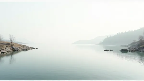 Reflective Water Surface With Rocks And Vegetation