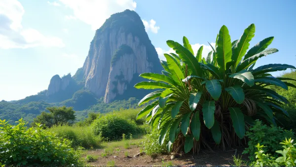 Rocky Peak Towering Over Lush Greenery Daylight