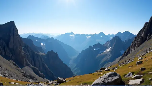 Rocky Peaks With Alpine Flora And Clear Sky