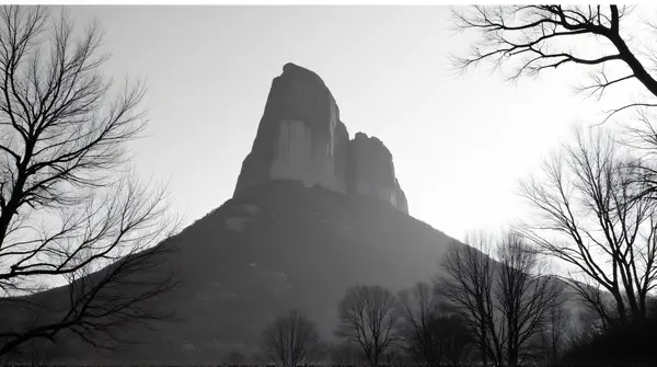 Rocky Summit With Leafless Trees In Black And White