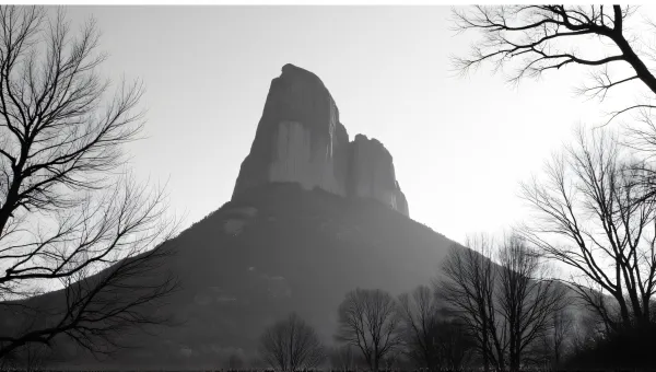 Rocky Summit With Leafless Trees In Black And White
