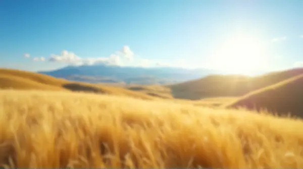 Selective focus on sunlit rolling golden hills beneath a clear blue sky with a softly blurred background