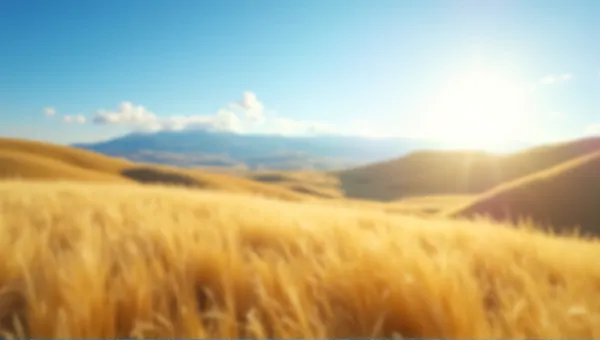 Rolling Golden Hills Under Clear Blue Sky