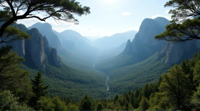 Rugged Peaks Over Dense Woodland Panorama