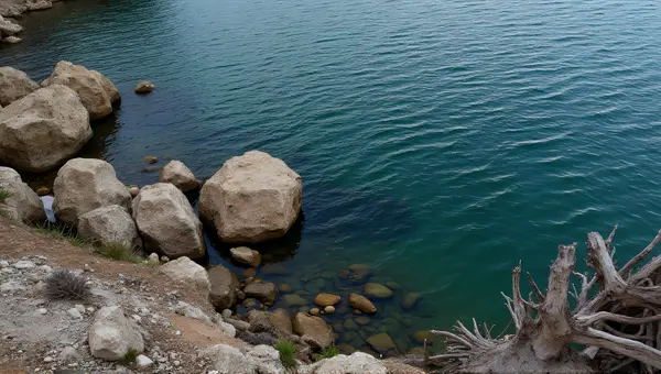 Rugged Rocks Near Rippling Lake With Driftwood
