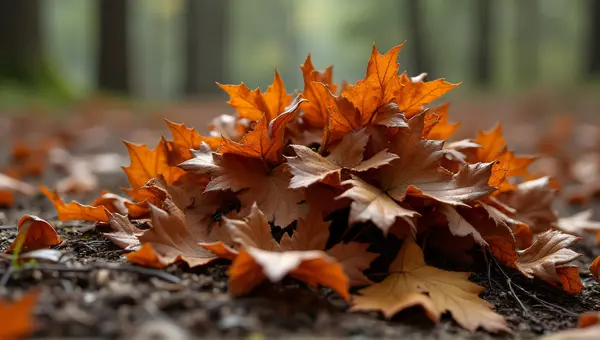 Rust-Toned Dry Foliage On Forest Floor