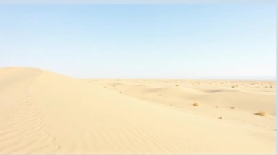 Sandy Dunes Landscape With Grass And Clear Sky