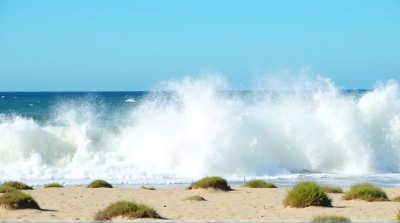 Sea Surf Crashing On Sandy Bank With Green Plants