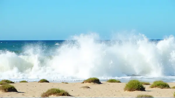 Sea surf crashing against a sandy bank scattered with green plants under a clear blue sky