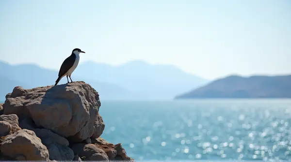 Seabird Perched On Coastal Cliff With Ocean View