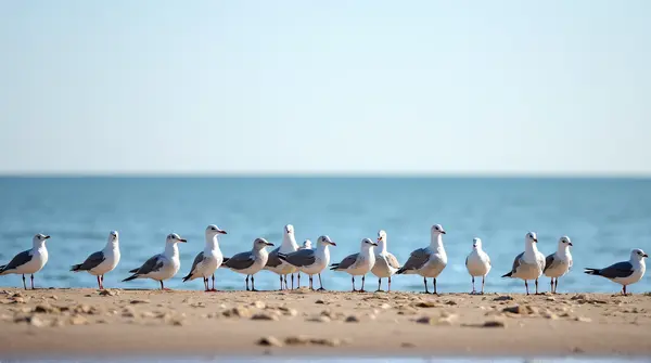 A flock of seagulls gathered near the water's edge under a clear sky with visible textured ground and horizon.