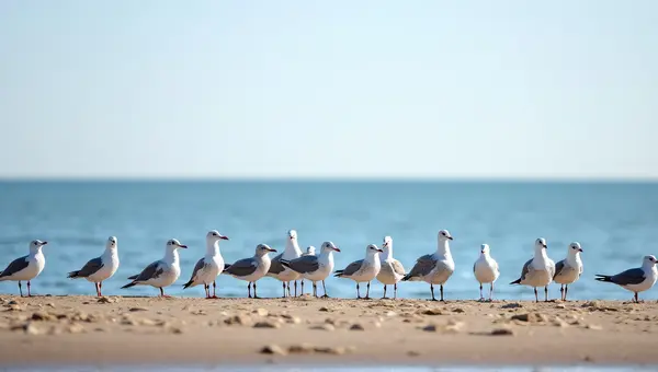 Seagulls Gathering Near Water Edge Under Clear Sky