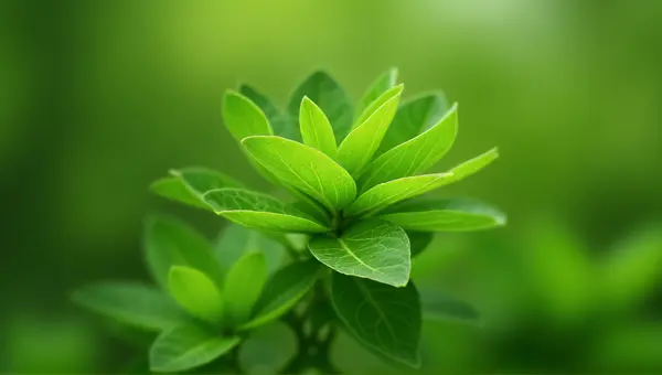 Sharp Focus On Textured Leaf Cluster In Garden