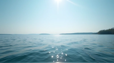 Shimmering Lake Surface With Tree Horizon
