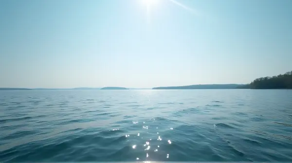 Shimmering Lake Surface With Tree Horizon
