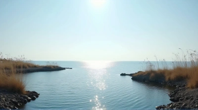 Shimmering Water Surface Near Rocky Shoreline