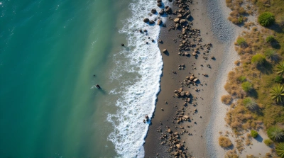Shoreline Texture With Coastal Rocks And Vegetation