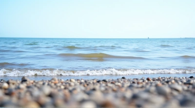 Shoreline Water Patterns Over Pebbled Terrain